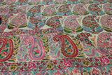 Embroidered pashmina white jamma shawl 40X80 inch