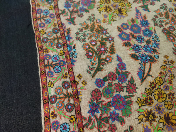 pashmina shawl Embroidered gul jamma kalamkari shawl